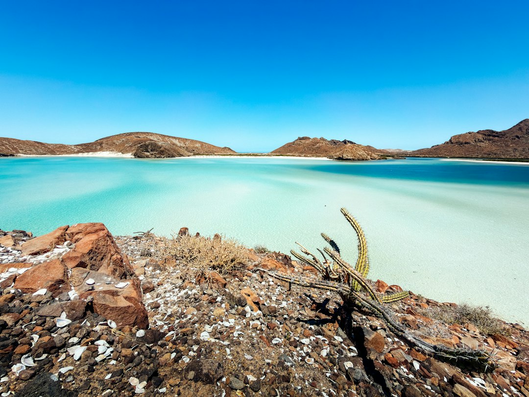 Costa de San Quintín, Baja California