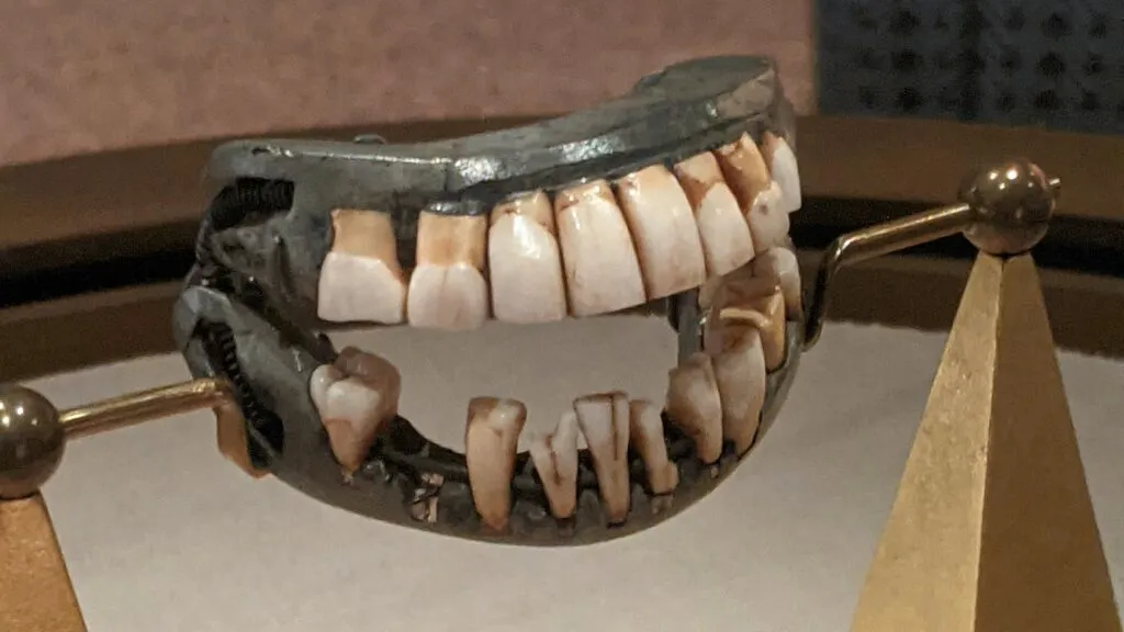 Actual dentures of George Washington on display at Mount Vernon, photographed by BakedintheHole in 2021.
