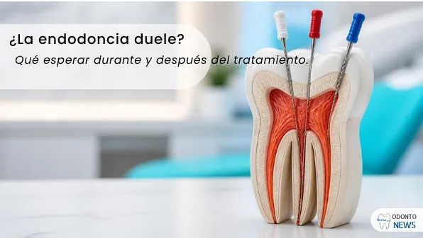 Portada: dolor de endodoncia